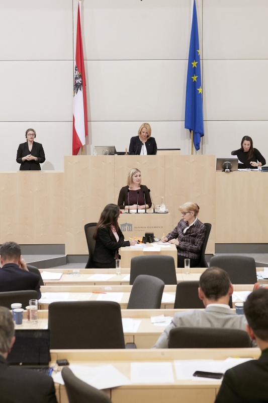 Am Rednerpult Nationalratsabgeordnete Eva-Maria Himmelbauer (V)