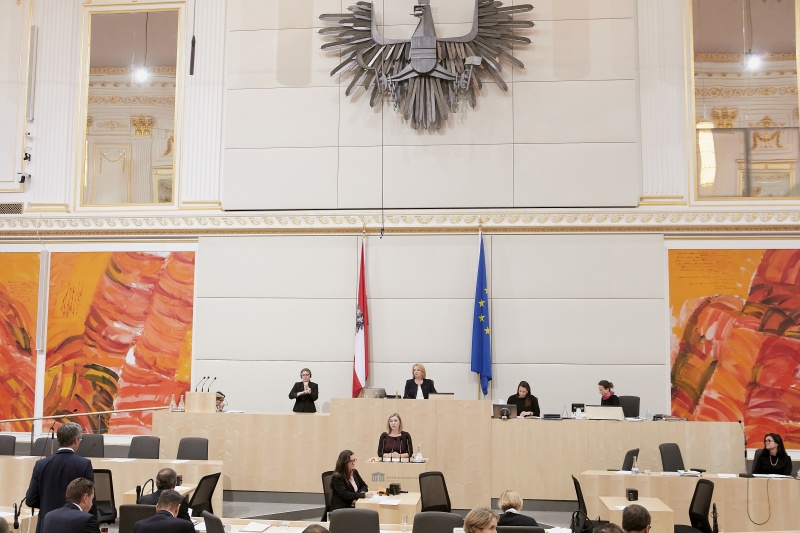 Am Rednerpult Nationalratsabgeordnete Eva-Maria Himmelbauer (V)