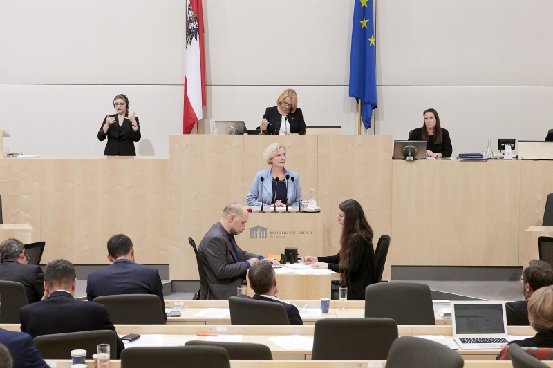 am Rednerpult Nationalratsabgeordnete Karin Greiner (S)