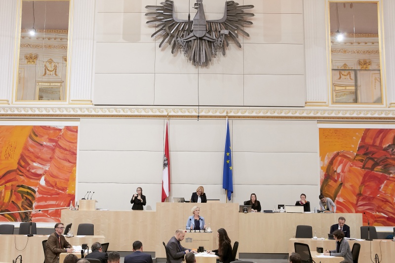 am Rednerpult Nationalratsabgeordnete Karin Greiner (S)