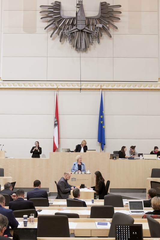 am Rednerpult Nationalratsabgeordnete Karin Greiner (S)