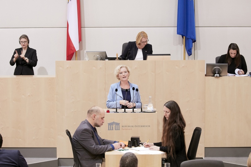 am Rednerpult Nationalratsabgeordnete Karin Greiner (S)