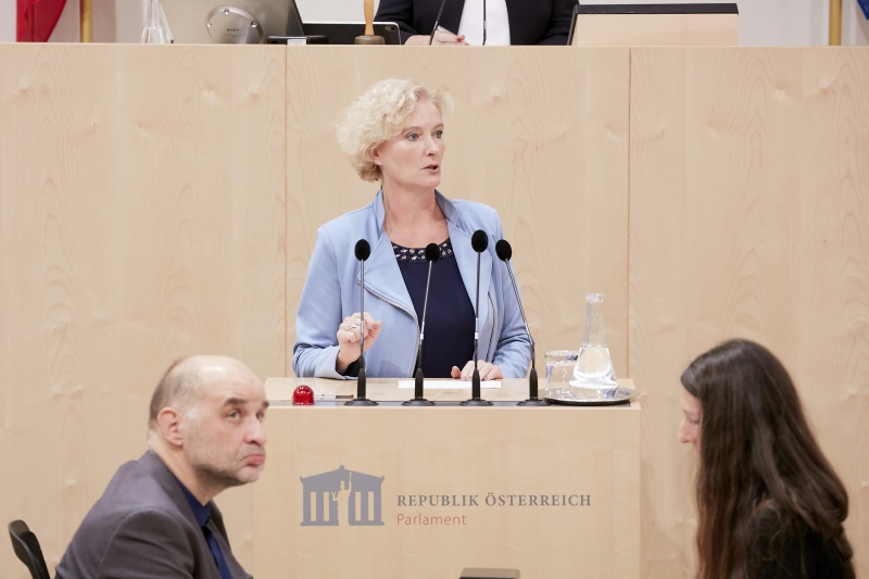 am Rednerpult Nationalratsabgeordnete Karin Greiner (S)