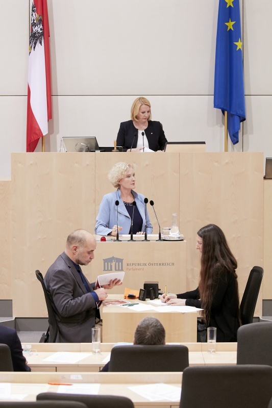 am Rednerpult Nationalratsabgeordnete Karin Greiner (S)