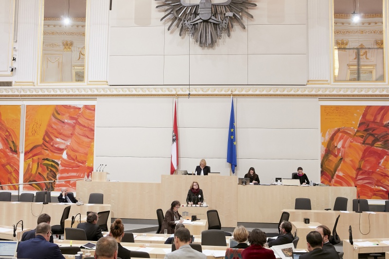 Am Rednerpult Nationalratsabgeordnete Ruth Becher (S)