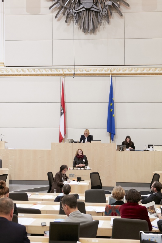 Am Rednerpult Nationalratsabgeordnete Ruth Becher (S)