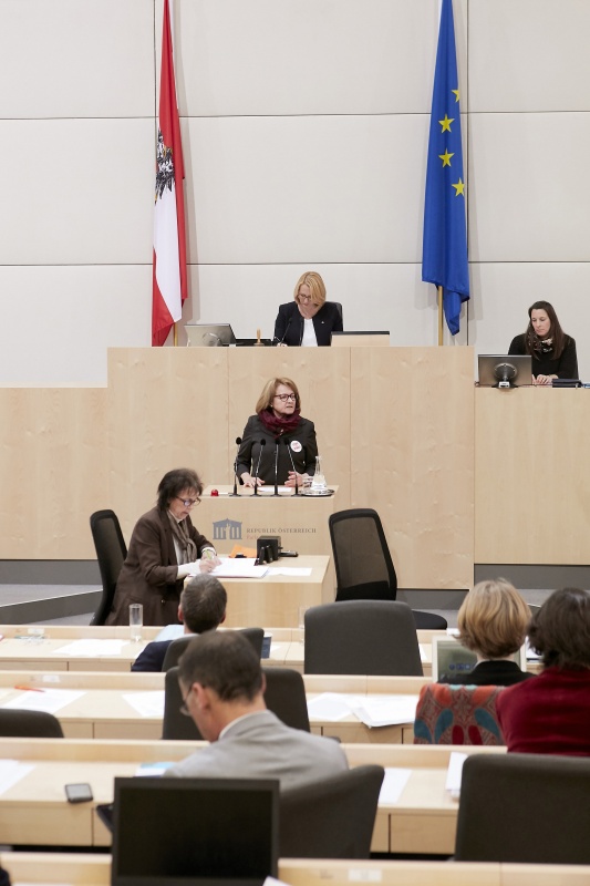 Am Rednerpult Nationalratsabgeordnete Ruth Becher (S)