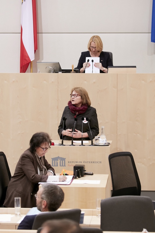 Am Rednerpult Nationalratsabgeordnete Ruth Becher (S)