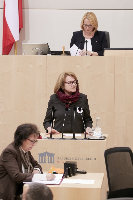 Am Rednerpult Nationalratsabgeordnete Ruth Becher (S)