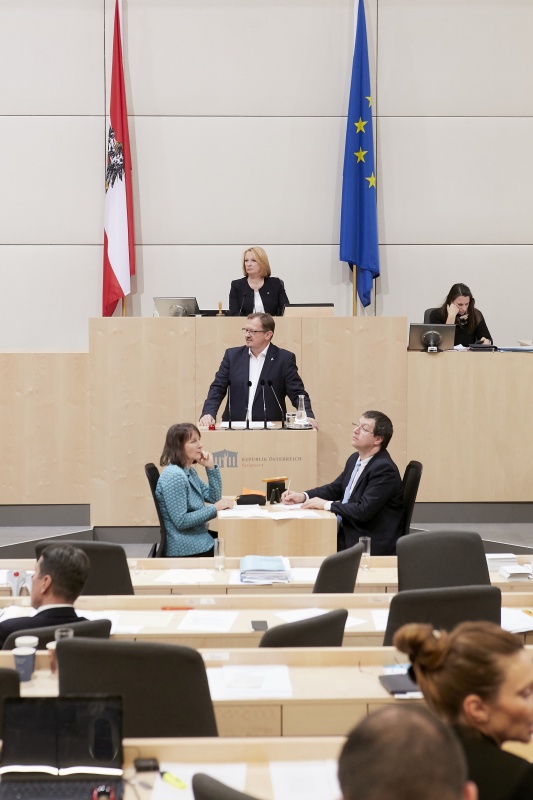 Am Rednerpult  Nationalratsabgeordneter Rudolf Silvan (S)