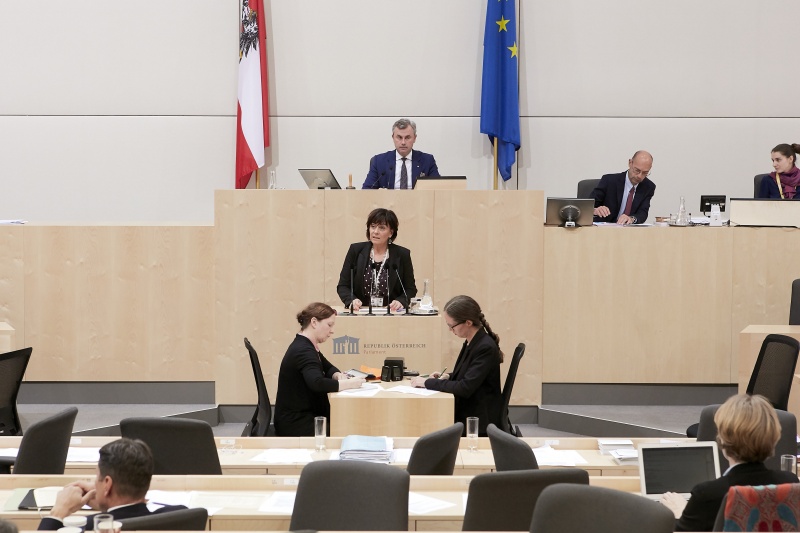 Am Rednerpult Nationalratsabgeordnete Petra Oberrauner (S)