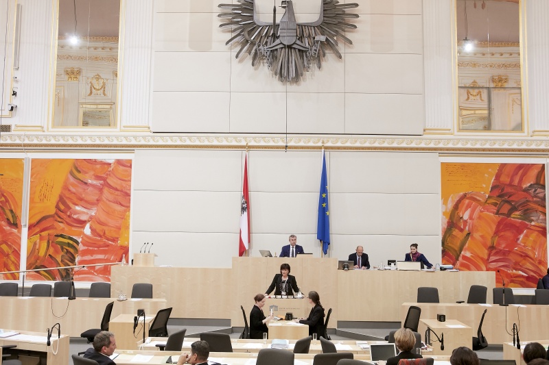 Am Rednerpult Nationalratsabgeordnete Petra Oberrauner (S)