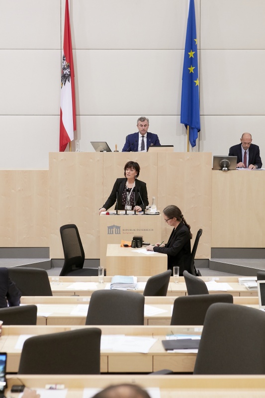 Am Rednerpult Nationalratsabgeordnete Petra Oberrauner (S)