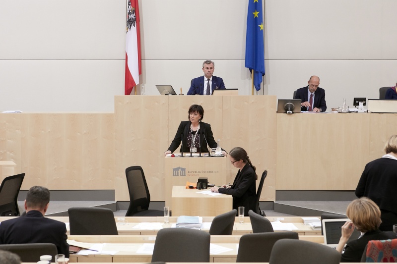 Am Rednerpult Nationalratsabgeordnete Petra Oberrauner (S)