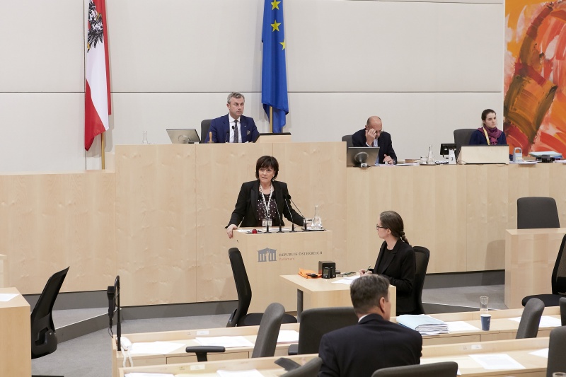 Am Rednerpult Nationalratsabgeordnete Petra Oberrauner (S)