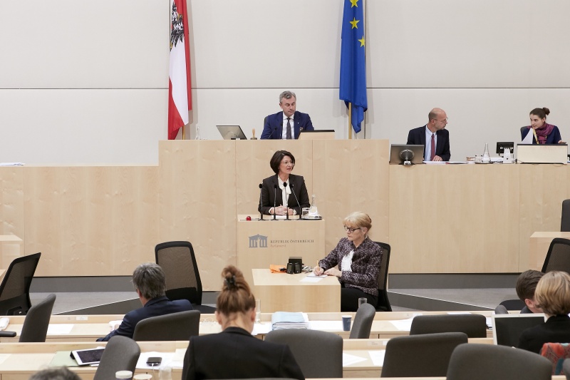 Am Rednerpult Nationalratsabgeordnete Maria Smodics-Neumann (V)