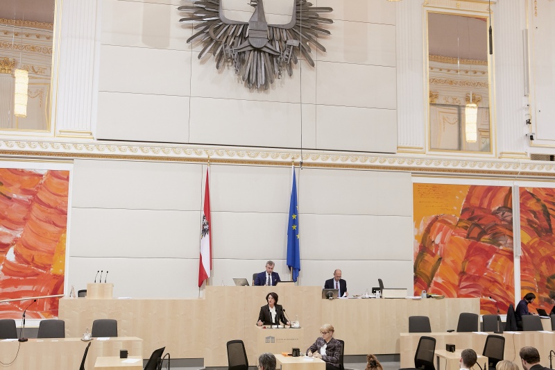 Am Rednerpult Nationalratsabgeordnete Maria Smodics-Neumann (V)