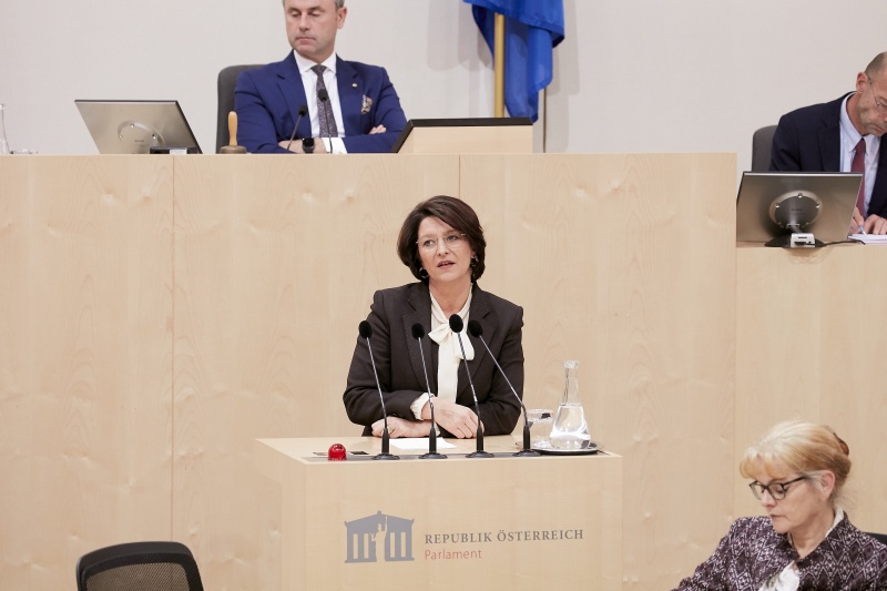 Am Rednerpult Nationalratsabgeordnete Maria Smodics-Neumann (V)
