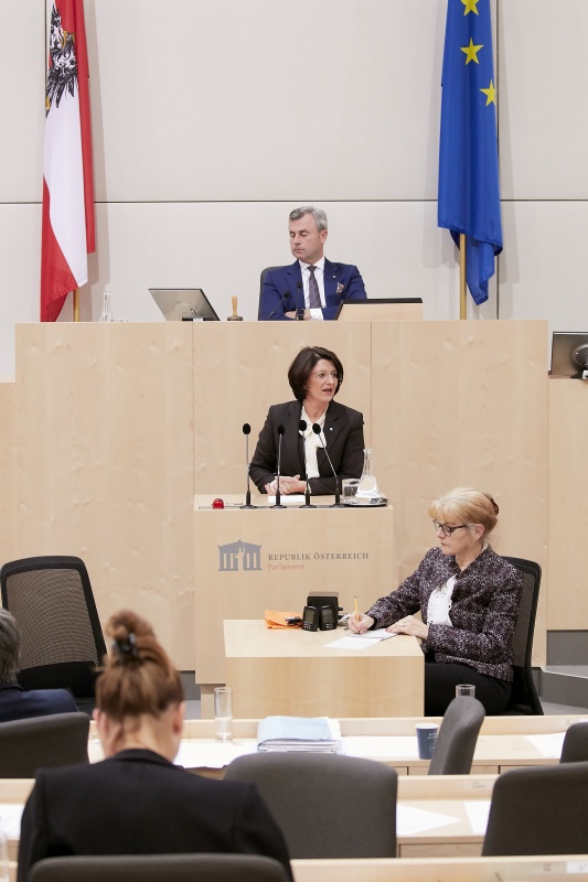 Am Rednerpult Nationalratsabgeordnete Maria Smodics-Neumann (V)