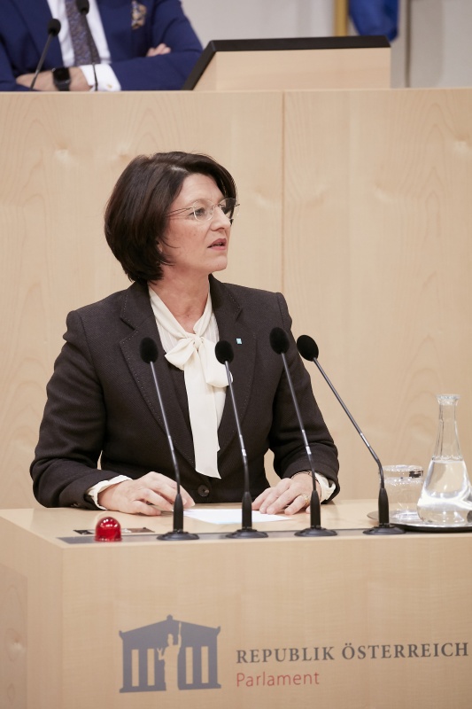 Am Rednerpult Nationalratsabgeordnete Maria Smodics-Neumann (V)