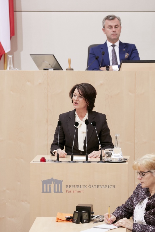 Am Rednerpult Nationalratsabgeordnete Maria Smodics-Neumann (V)