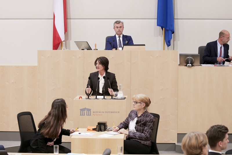 Am Rednerpult Nationalratsabgeordnete Maria Smodics-Neumann (V)