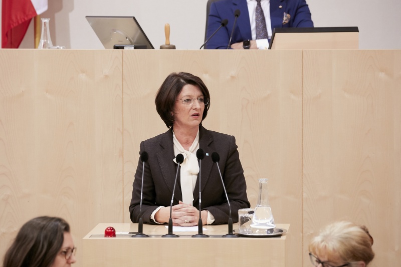 Am Rednerpult Nationalratsabgeordnete Maria Smodics-Neumann (V)