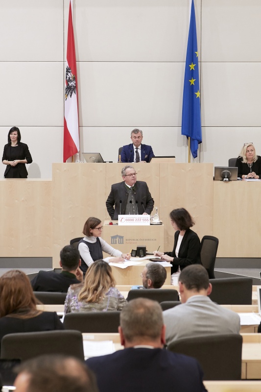 Am Rednerpult Nationalratsabgeordneter Klaus Köchl (S)