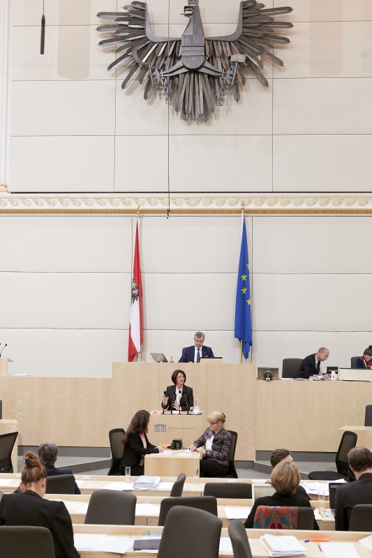 Am Rednerpult Nationalratsabgeordnete Maria Smodics-Neumann (V)