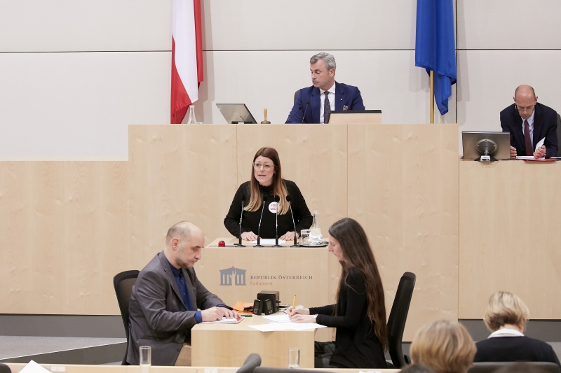 Am Rednerpult Nationalratsabgeordnete Katharina Kucharowits (S)