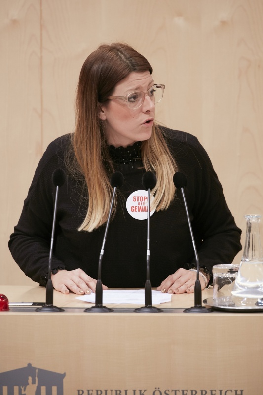 Am Rednerpult Nationalratsabgeordnete Katharina Kucharowits (S)