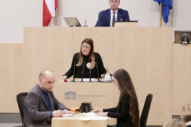 Am Rednerpult Nationalratsabgeordnete Katharina Kucharowits (S)