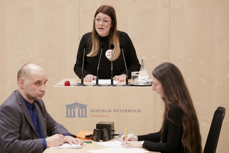 Am Rednerpult Nationalratsabgeordnete Katharina Kucharowits (S)