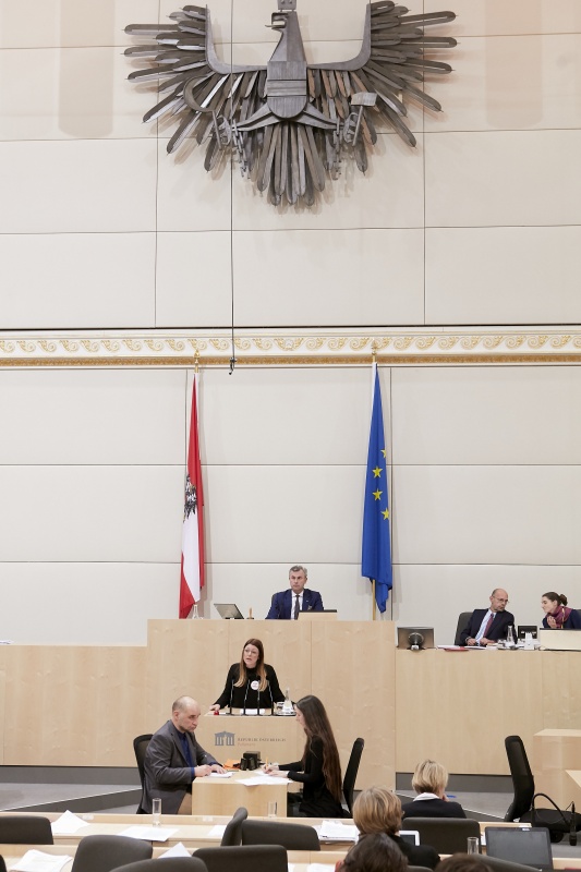Am Rednerpult Nationalratsabgeordnete Katharina Kucharowits (S)