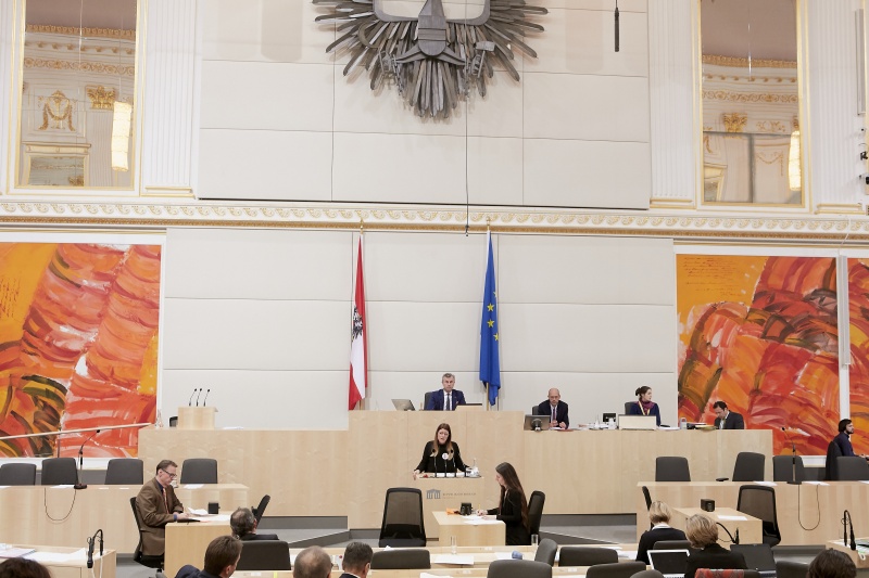 Am Rednerpult Nationalratsabgeordnete Katharina Kucharowits (S)