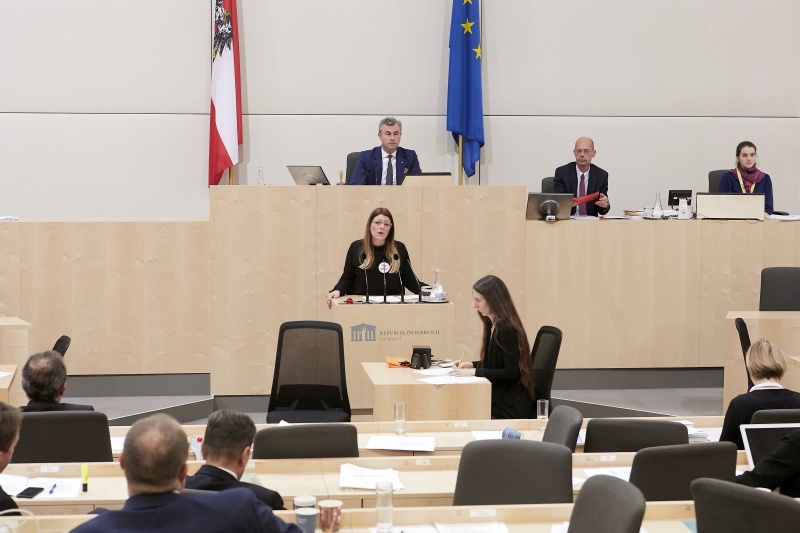 Am Rednerpult Nationalratsabgeordnete Katharina Kucharowits (S)