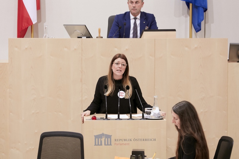 Am Rednerpult Nationalratsabgeordnete Katharina Kucharowits (S)