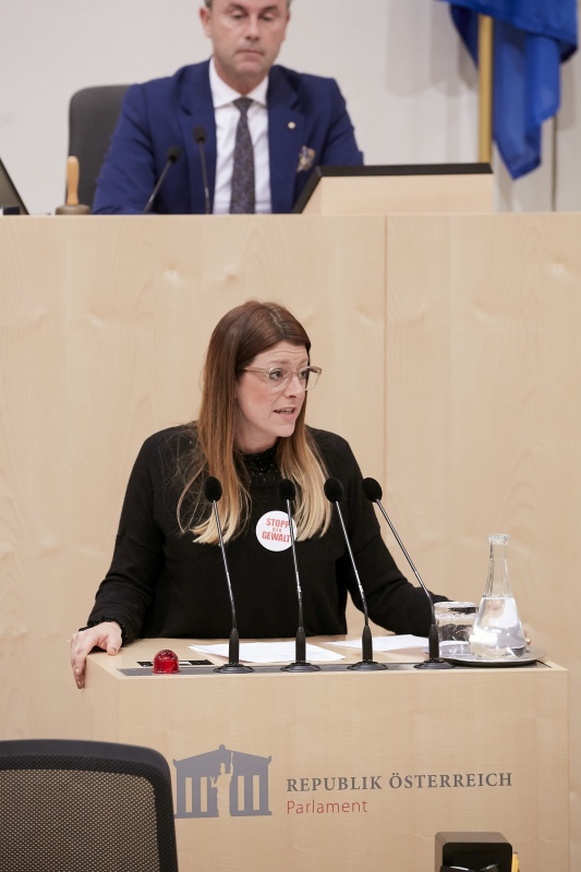 Am Rednerpult Nationalratsabgeordnete Katharina Kucharowits (S)