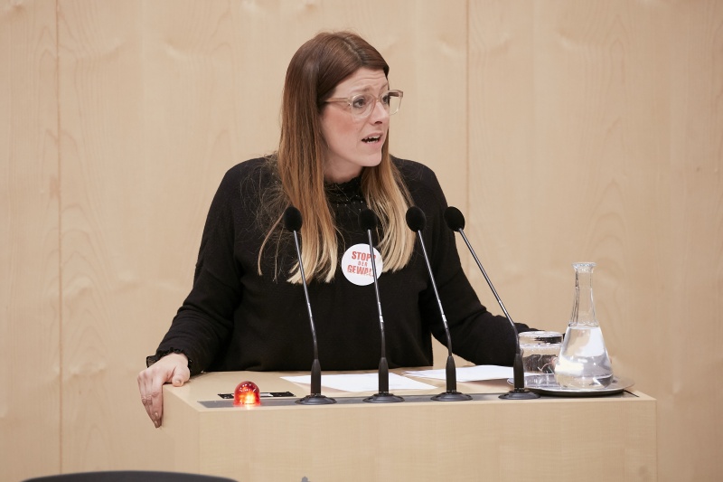 Am Rednerpult Nationalratsabgeordnete Katharina Kucharowits (S)