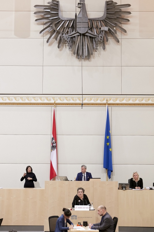 Am Rednerpult Nationalratsabgeordnete Eva Blimlinger (G)