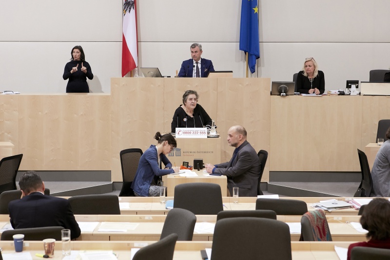 Am Rednerpult Nationalratsabgeordnete Eva Blimlinger (G)