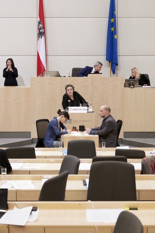 Am Rednerpult Nationalratsabgeordnete Eva Blimlinger (G)