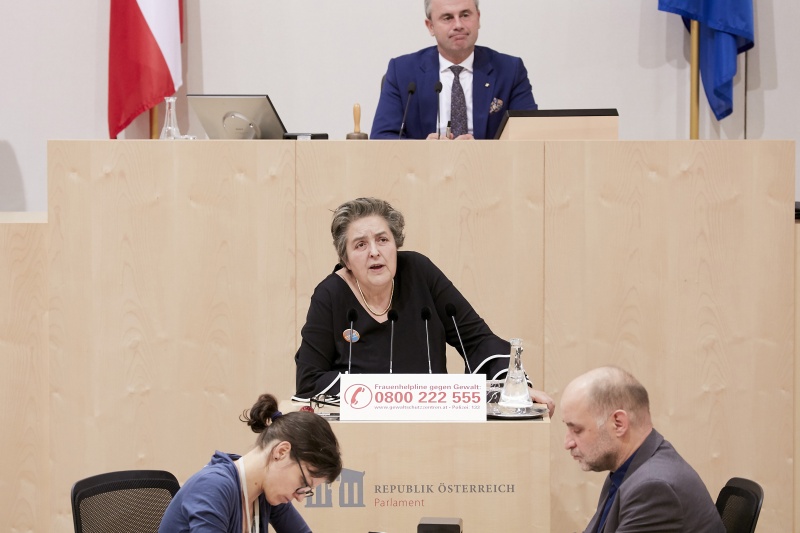 Am Rednerpult Nationalratsabgeordnete Eva Blimlinger (G)
