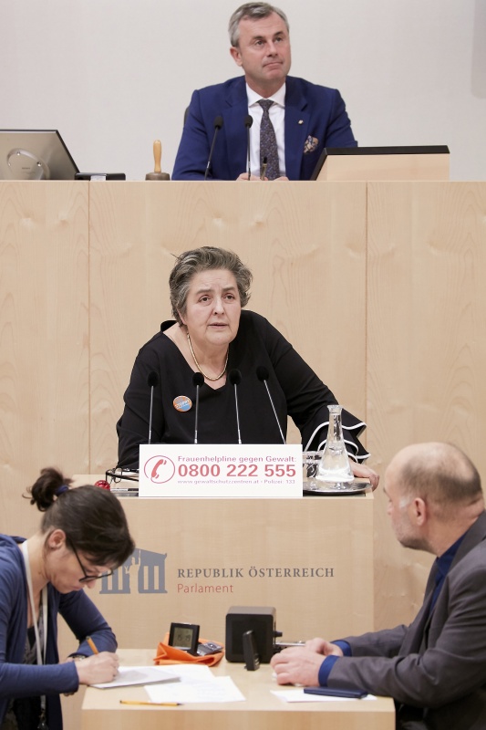 Am Rednerpult Nationalratsabgeordnete Eva Blimlinger (G)