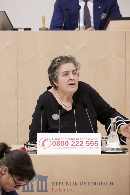 Am Rednerpult Nationalratsabgeordnete Eva Blimlinger (G)