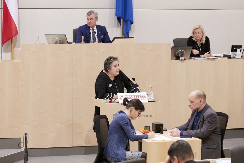 Am Rednerpult Nationalratsabgeordnete Eva Blimlinger (G)