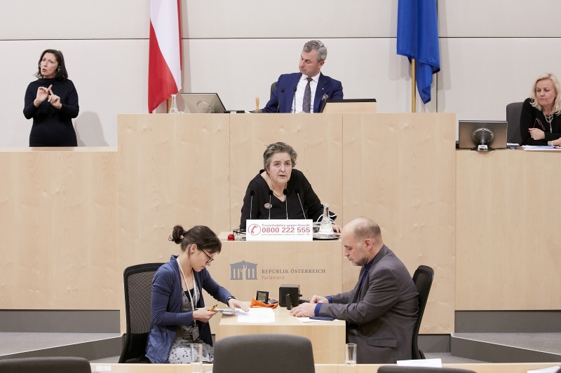 Am Rednerpult Nationalratsabgeordnete Eva Blimlinger (G)