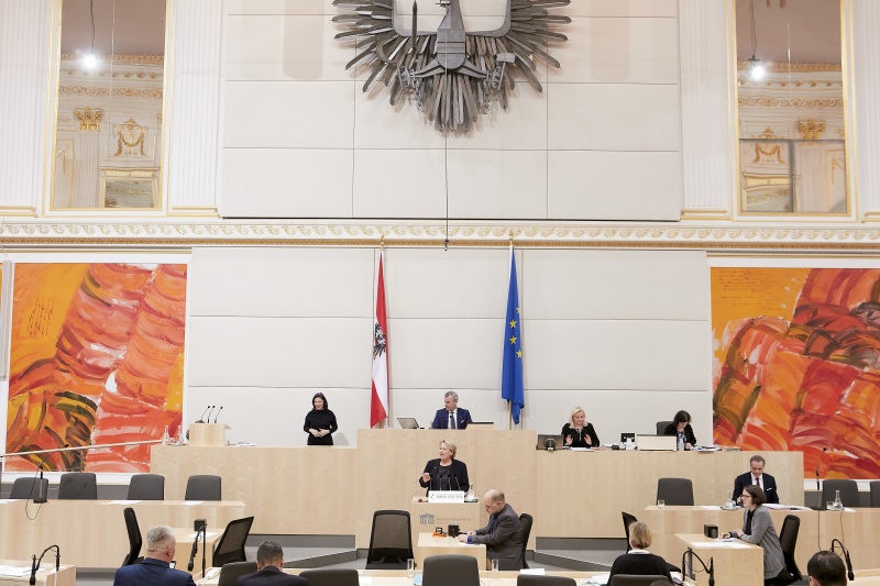 Am Rednerpult Nationalratsabgeordnete Gertraud Salzmann (V)