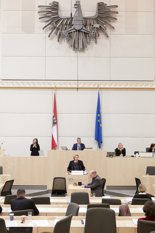 Am Rednerpult Nationalratsabgeordnete Gertraud Salzmann (V)