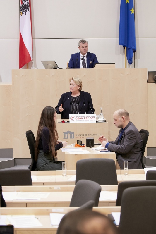 Am Rednerpult Nationalratsabgeordnete Gertraud Salzmann (V)